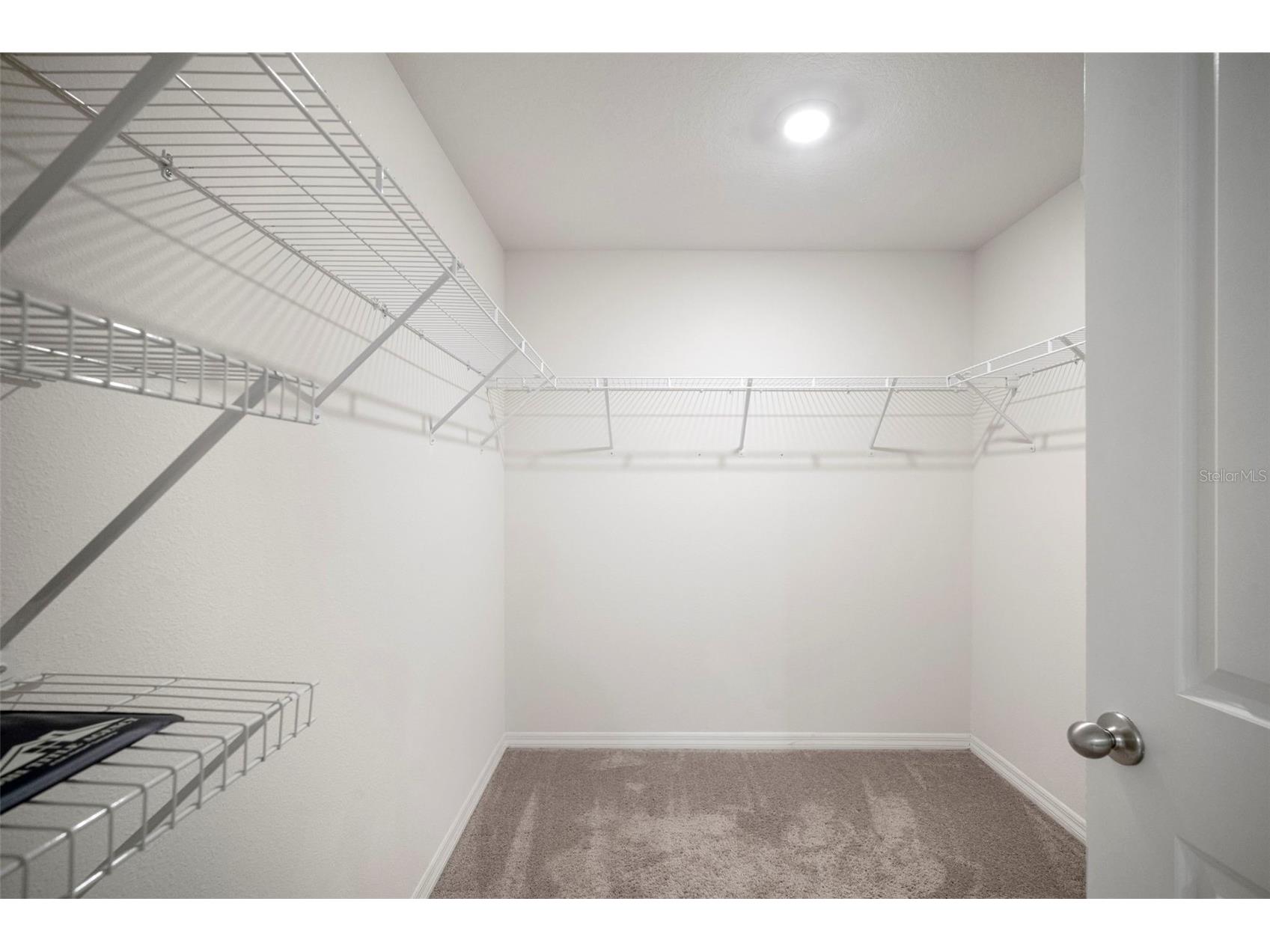 7804 Davie Ray Drive Zephyrhills FL 33540 TB8421102 image30