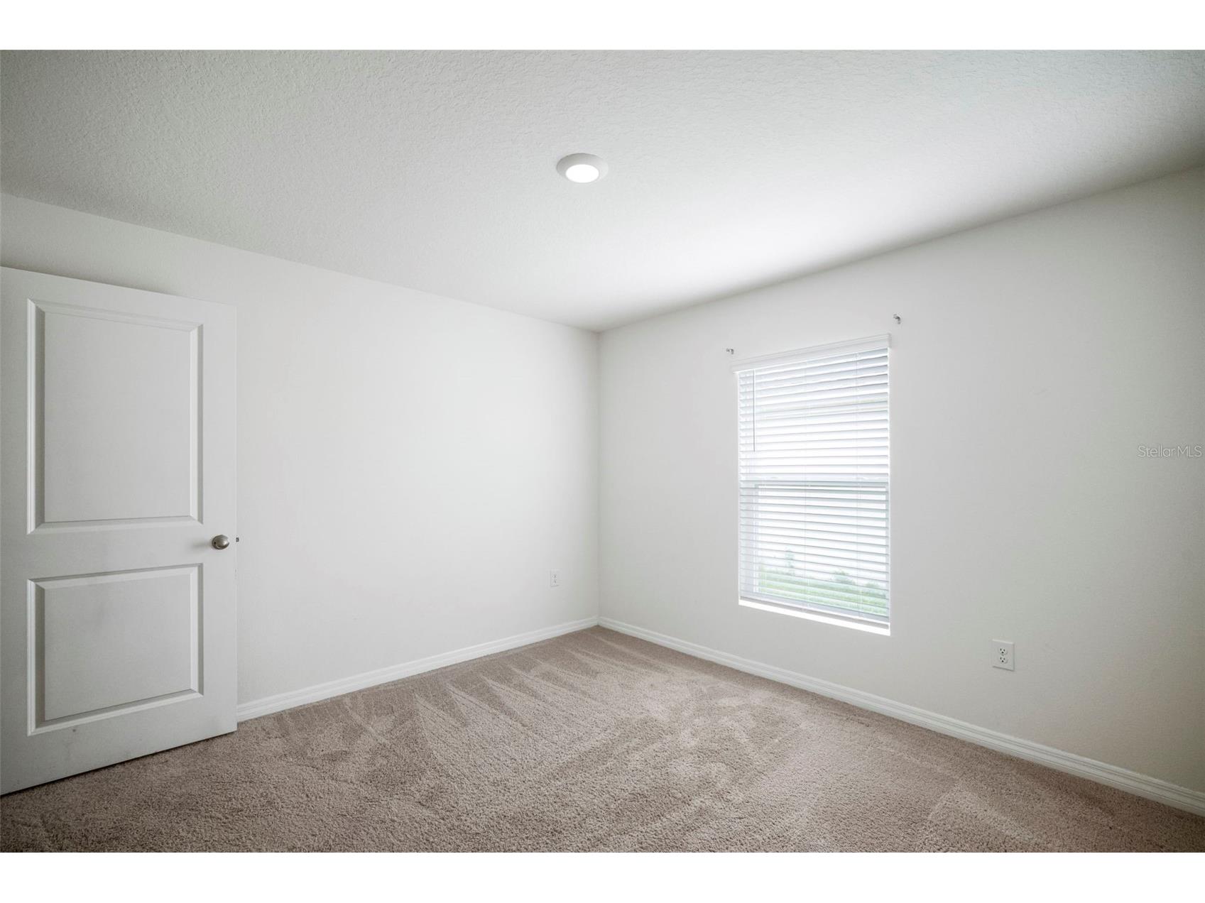 7804 Davie Ray Drive Zephyrhills FL 33540 TB8421102 image32