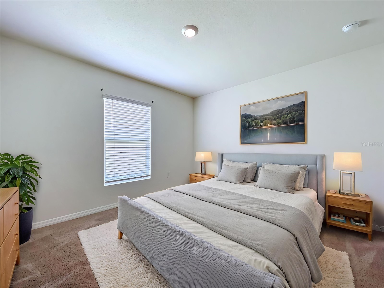 7804 Davie Ray Drive Zephyrhills FL 33540 TB8507902 image10