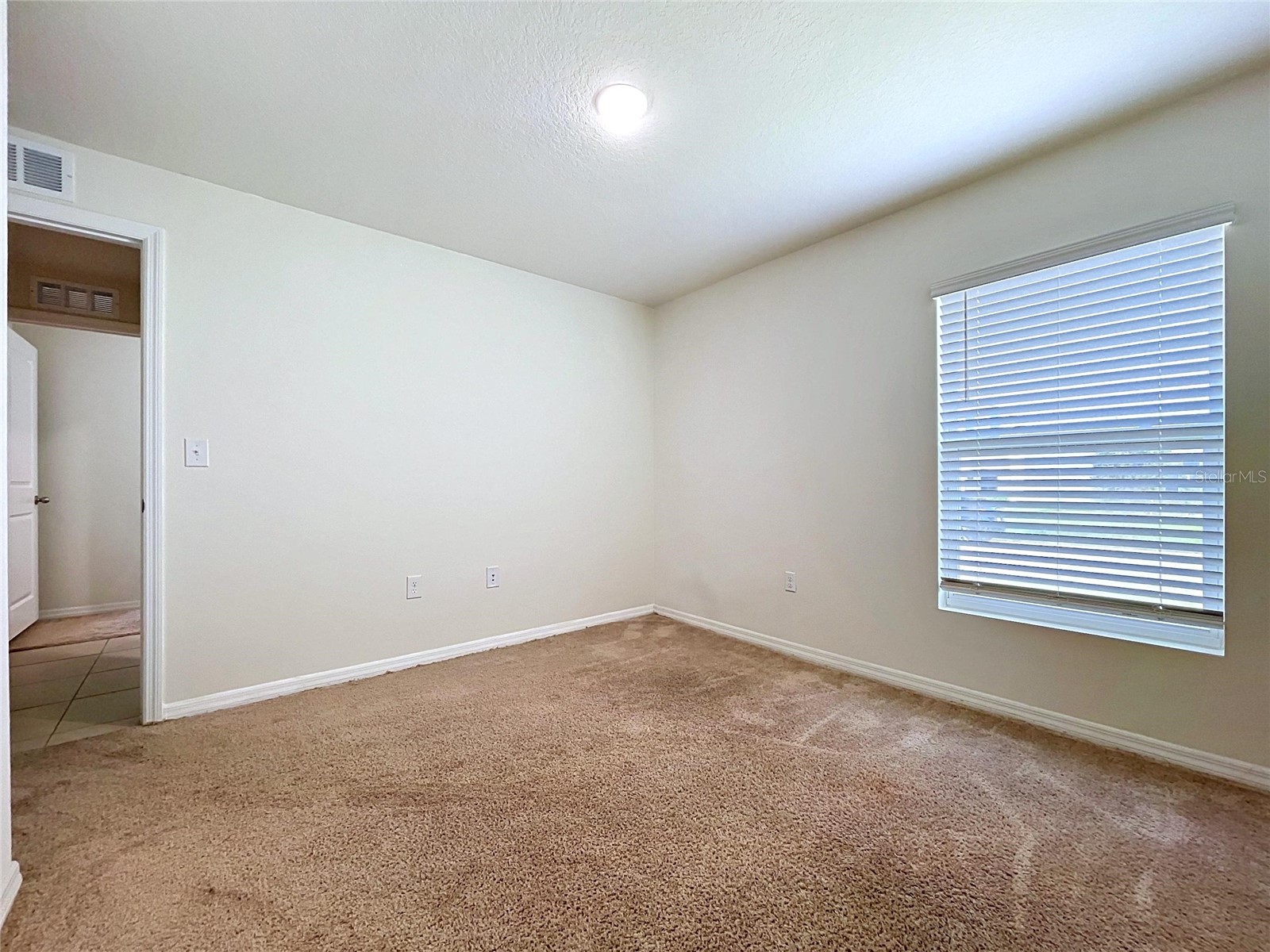 7804 Davie Ray Drive Zephyrhills FL 33540 TB8507902 image15