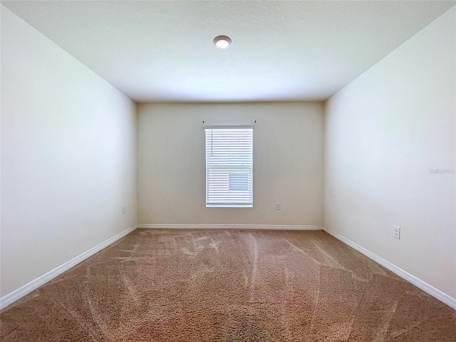 7804 Davie Ray Drive Zephyrhills FL 33540 TB8507902 image19