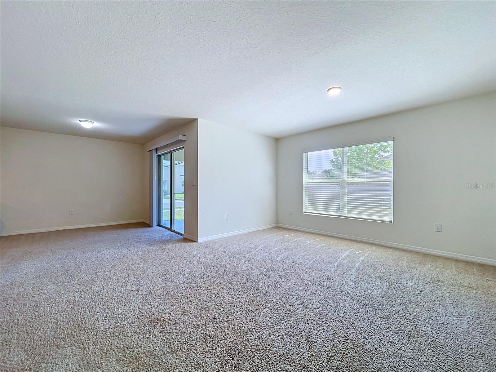 7804 Davie Ray Drive Zephyrhills FL 33540 TB8507902 image25