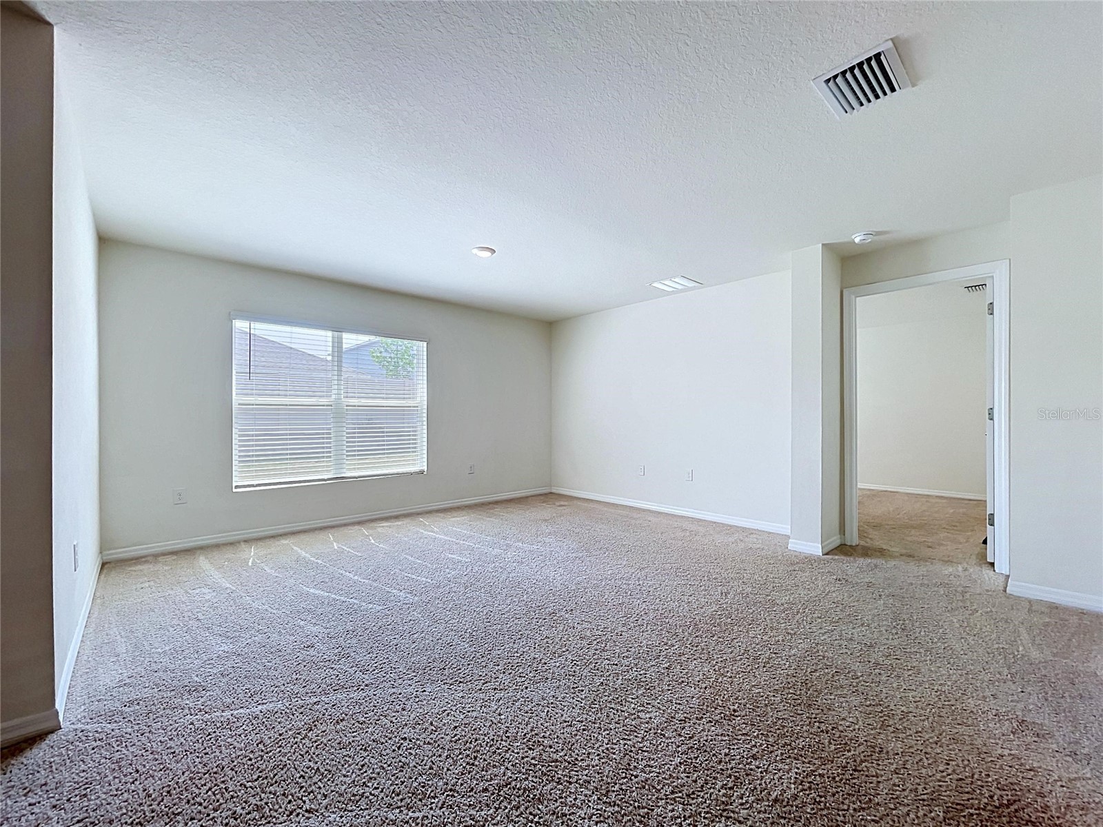 7804 Davie Ray Drive Zephyrhills FL 33540 TB8507902 image27