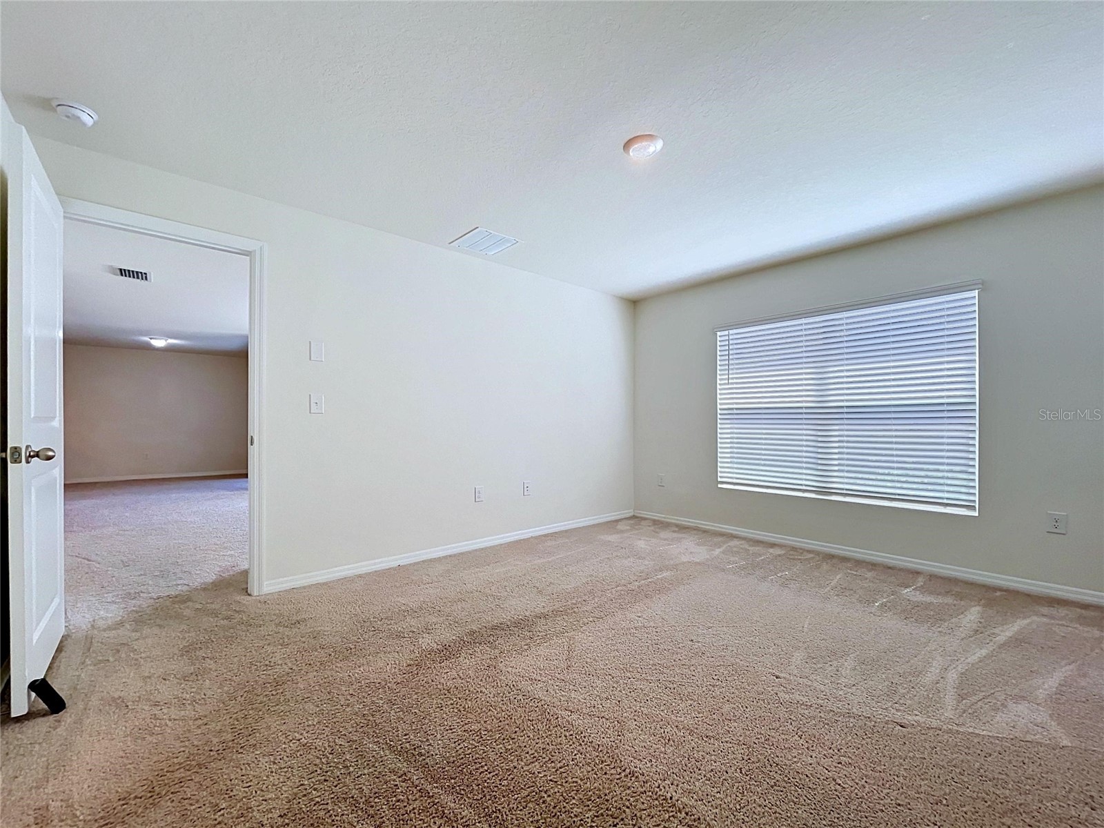 7804 Davie Ray Drive Zephyrhills FL 33540 TB8507902 image28