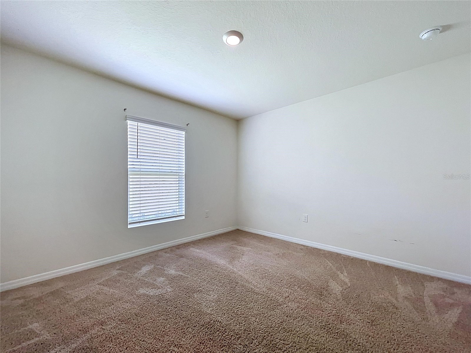 7804 Davie Ray Drive Zephyrhills FL 33540 TB8507902 image9