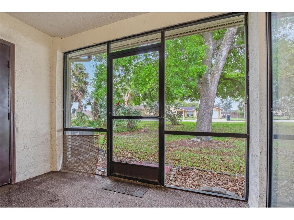 7804 Eureka Drive Hudson FL 34667 TB8487347 image23