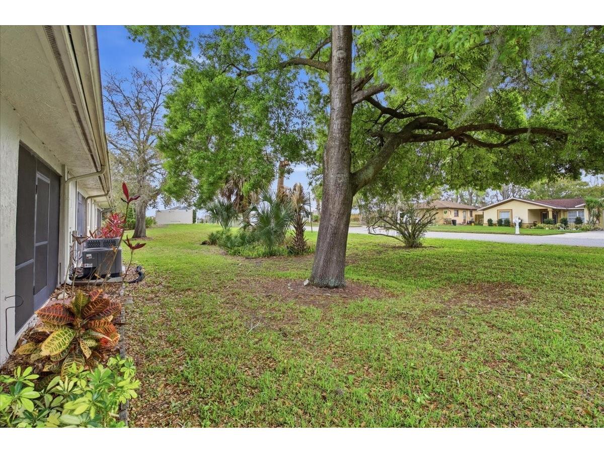 7804 Eureka Drive Hudson FL 34667 TB8487347 image27