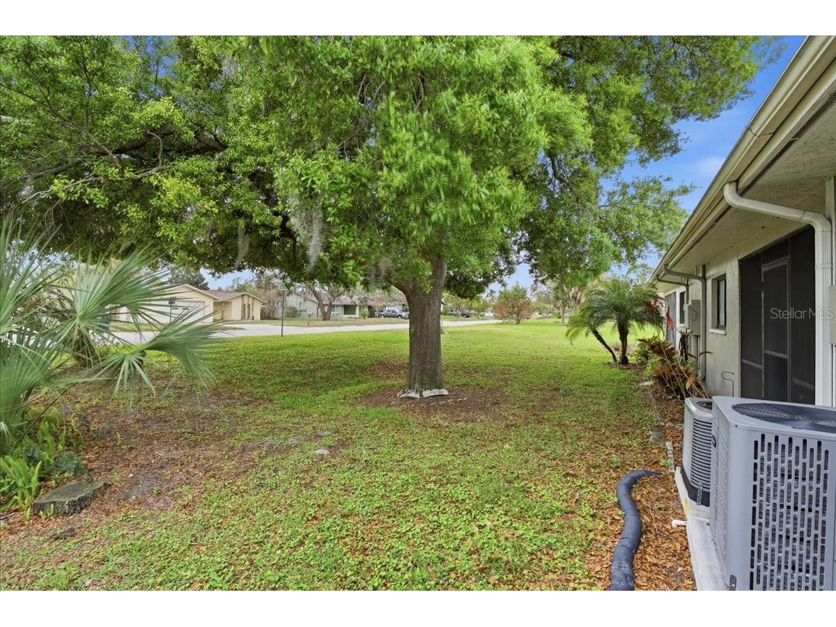 7804 Eureka Drive Hudson FL 34667 TB8487347 image28