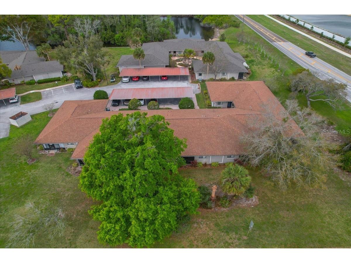 7804 Eureka Drive Hudson FL 34667 TB8487347 image35