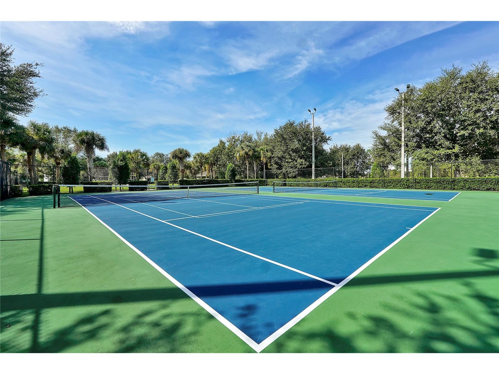 7805 Beechfield Street Kissimmee FL 34747 O6412454 image51