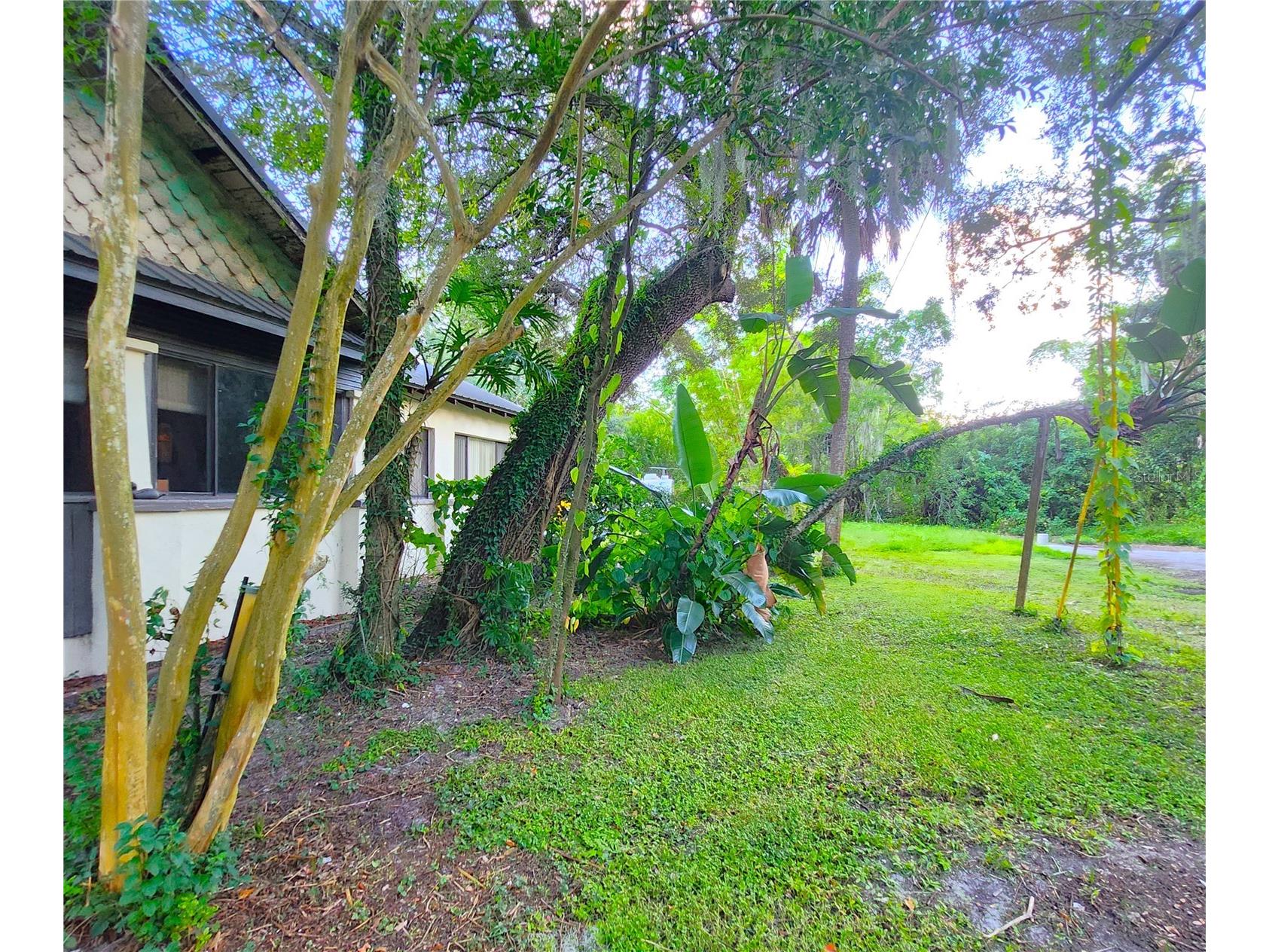 7805 N 12th Street Tampa FL 33604 - HILLSBOROUGH RIVER TB8495106 image30