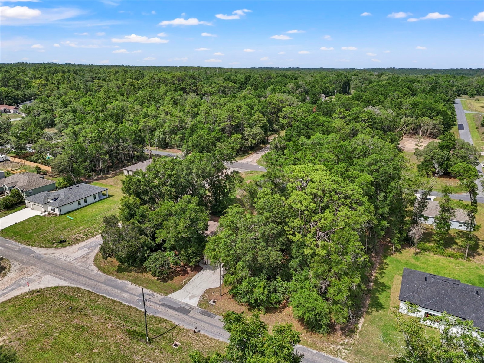 7805 N Creek Way Citrus Springs FL 34434 TB8511752 image13