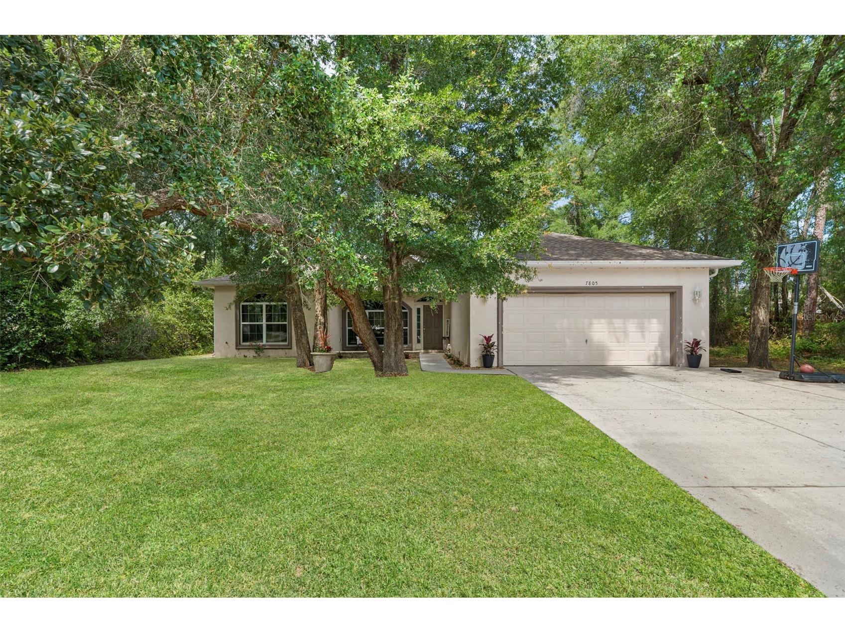 7805 N Creek Way Citrus Springs FL 34434 TB8511752 image2