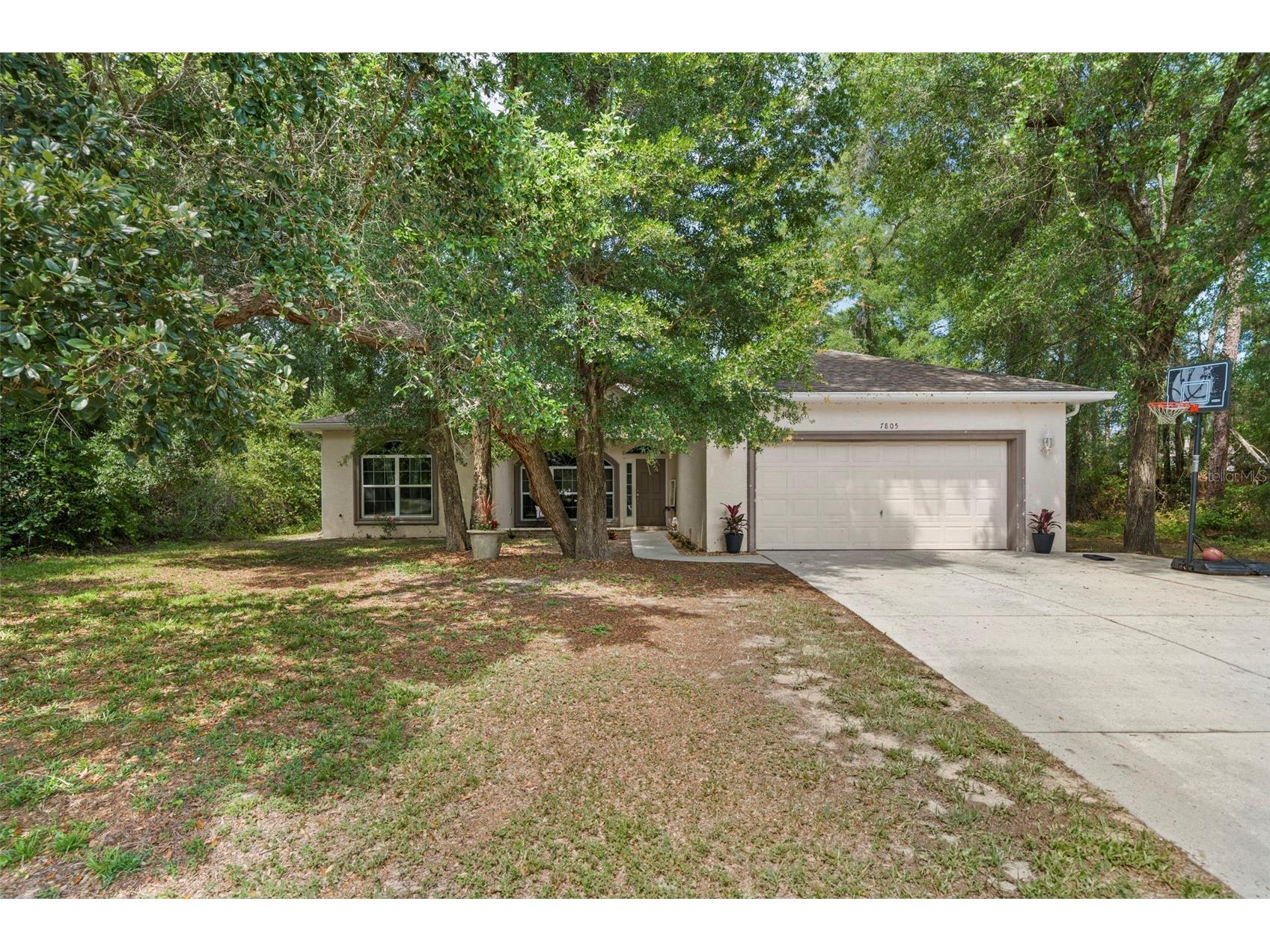 7805 N Creek Way Citrus Springs FL 34434 TB8511752 image5
