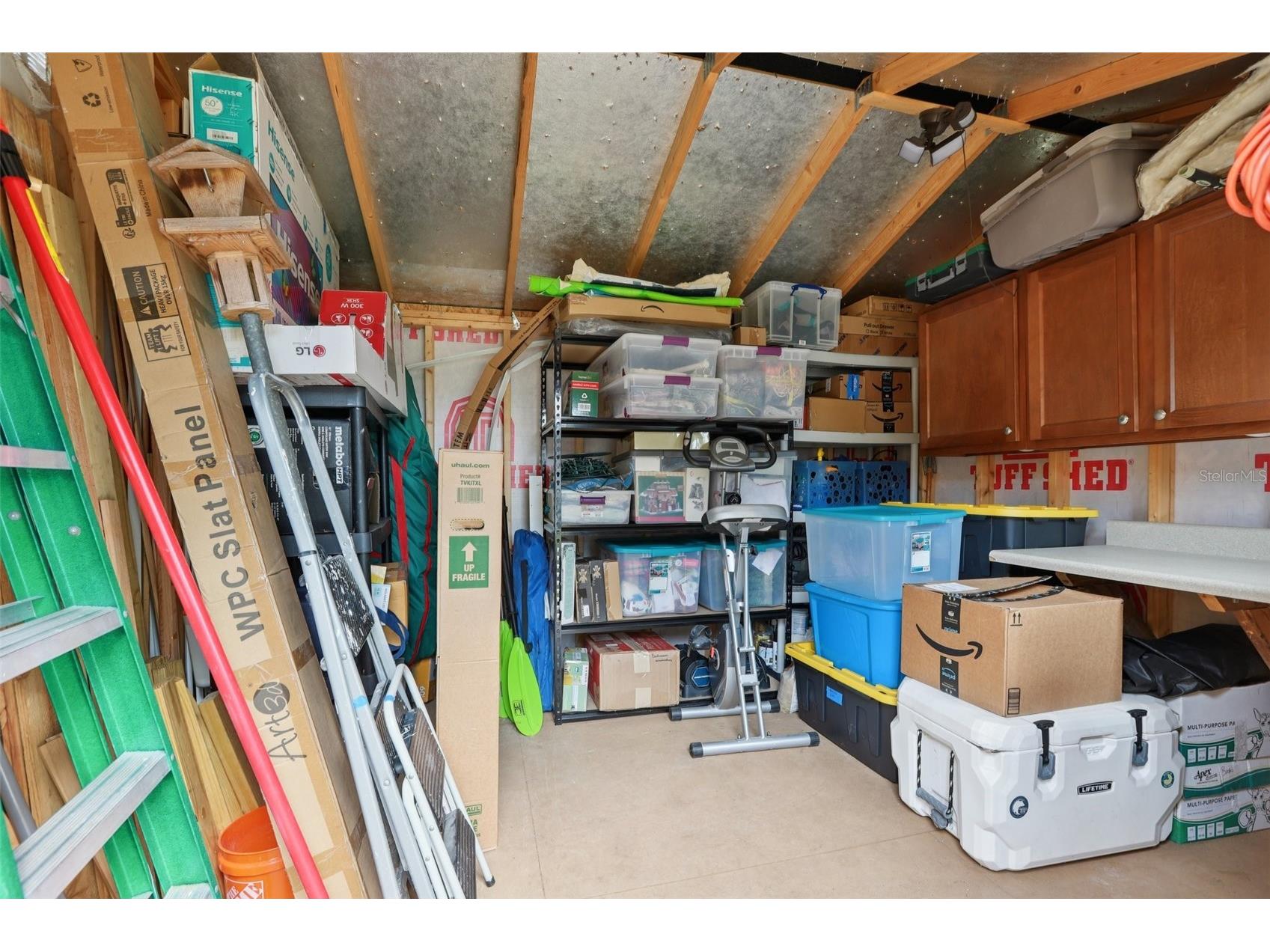 7805 N Glen Avenue Tampa FL 33614 TB8495378 image29