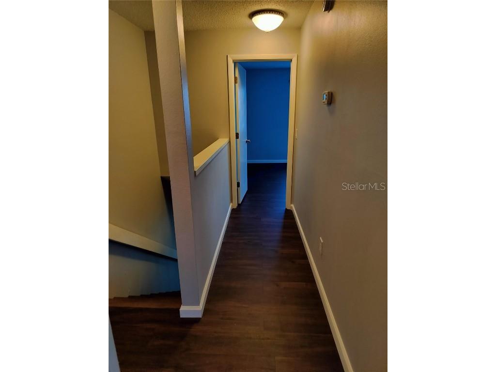 7806 Buryl Court #197 Temple Terrace FL 33637 TB8440315 image12