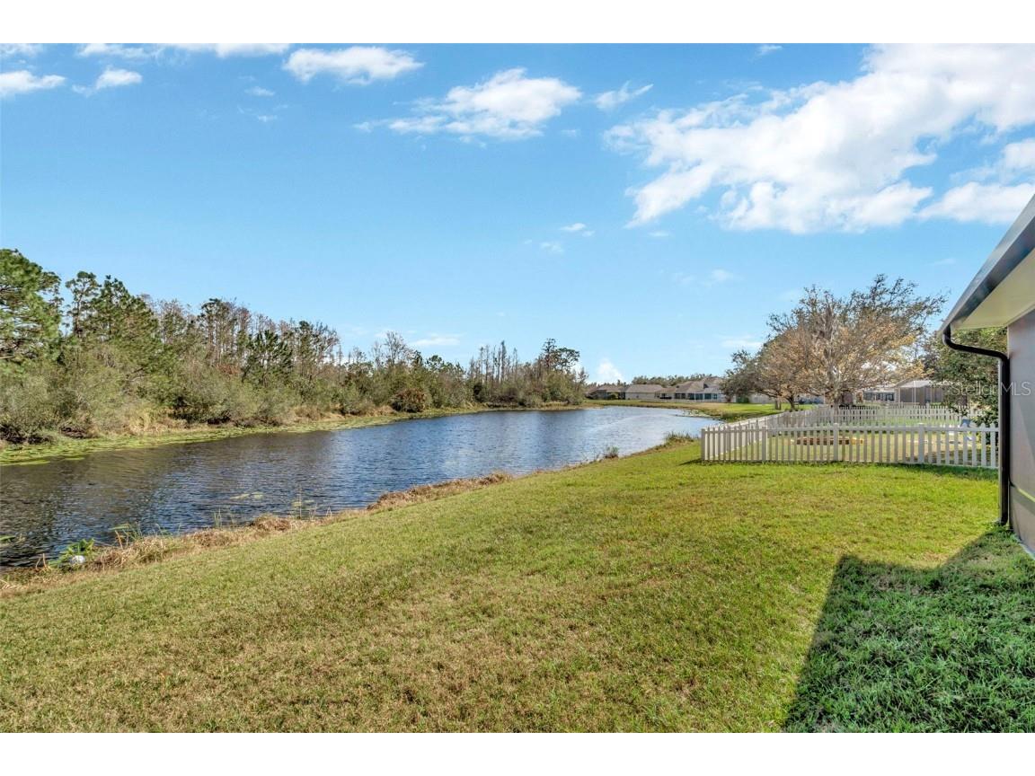 7806 Grasmere Drive Land O Lakes FL 34637 TB8303639 image26
