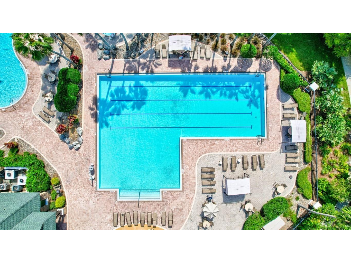 7806 Grasmere Drive Land O Lakes FL 34637 TB8303639 image33