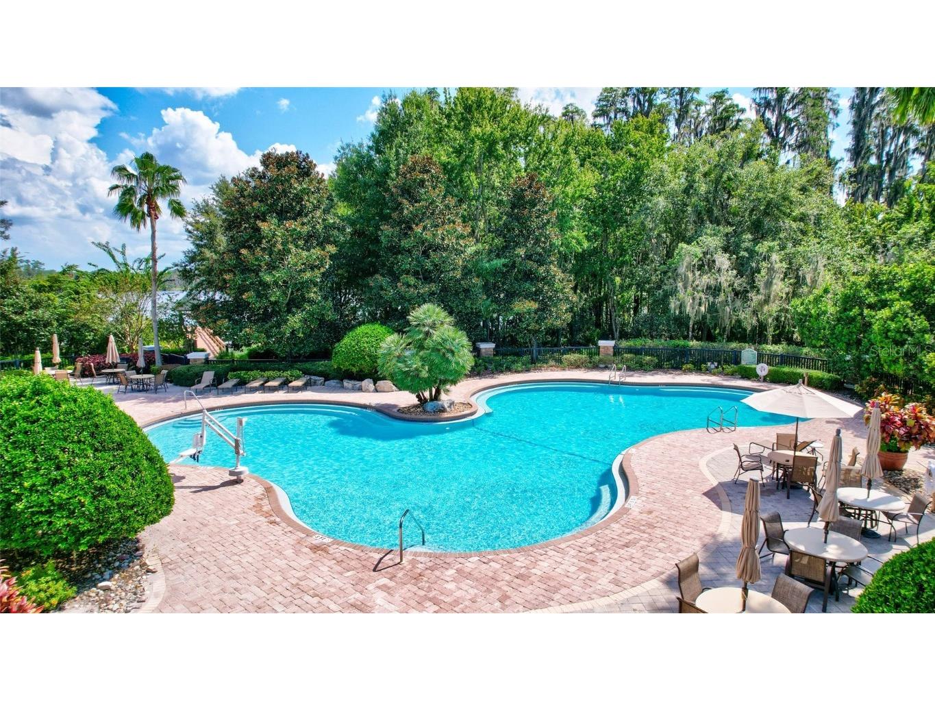 7806 Grasmere Drive Land O Lakes FL 34637 TB8303639 image35