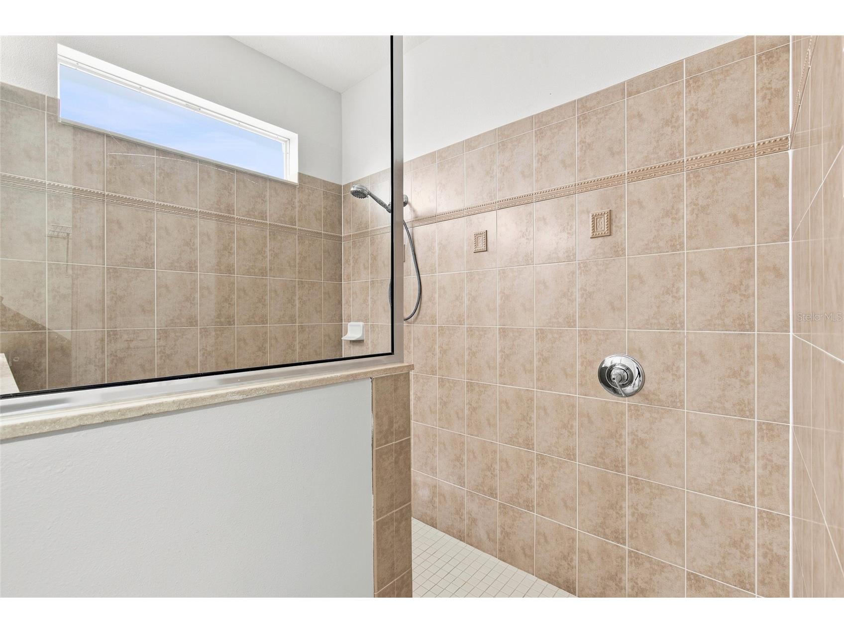 7806 Grasmere Drive Land O Lakes FL 34637 TB8527866 image17