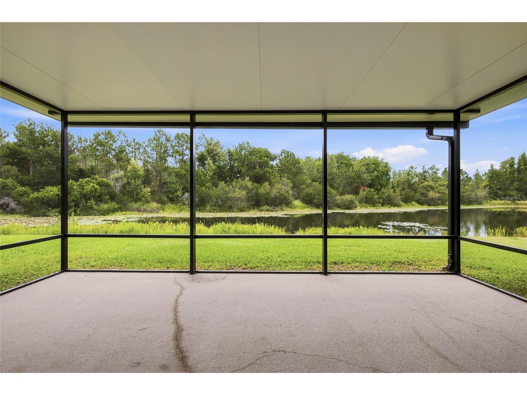 7806 Grasmere Drive Land O Lakes FL 34637 TB8527866 image31