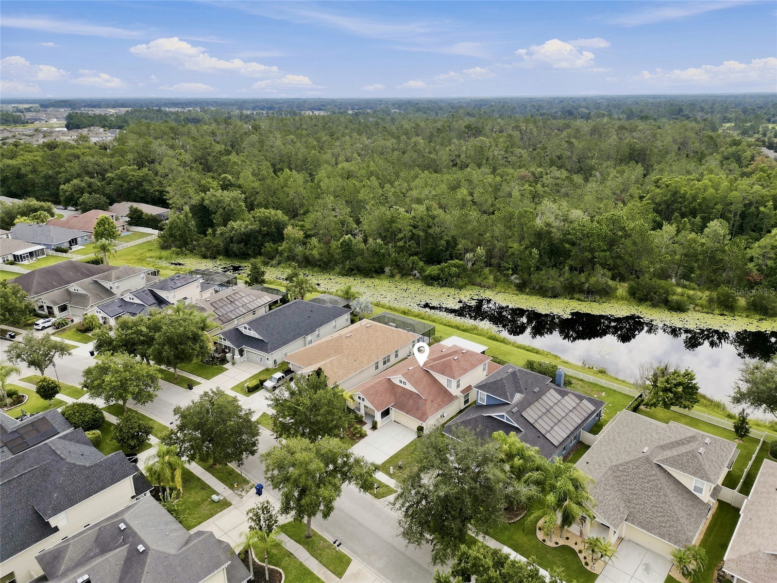 7806 Grasmere Drive Land O Lakes FL 34637 TB8527866 image36
