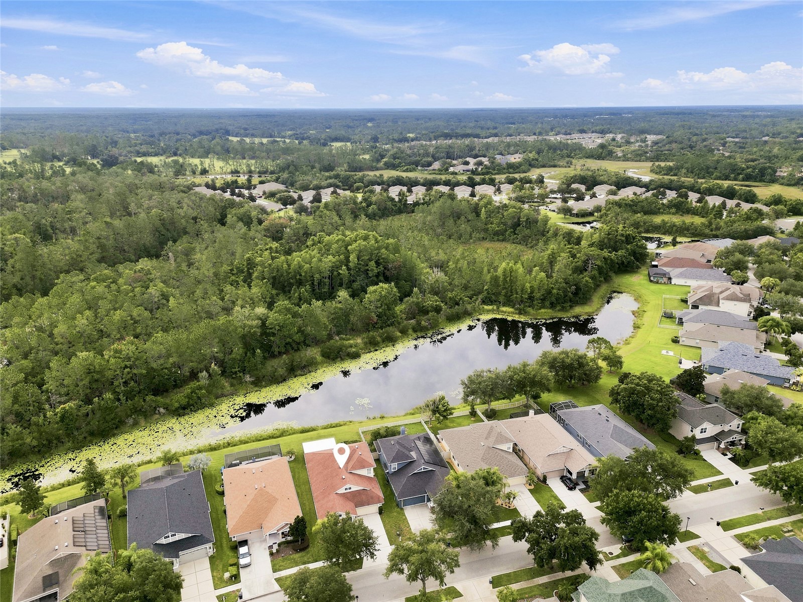7806 Grasmere Drive Land O Lakes FL 34637 TB8527866 image37