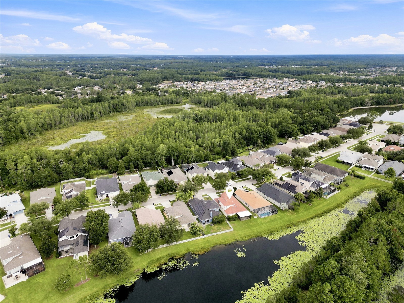 7806 Grasmere Drive Land O Lakes FL 34637 TB8527866 image38