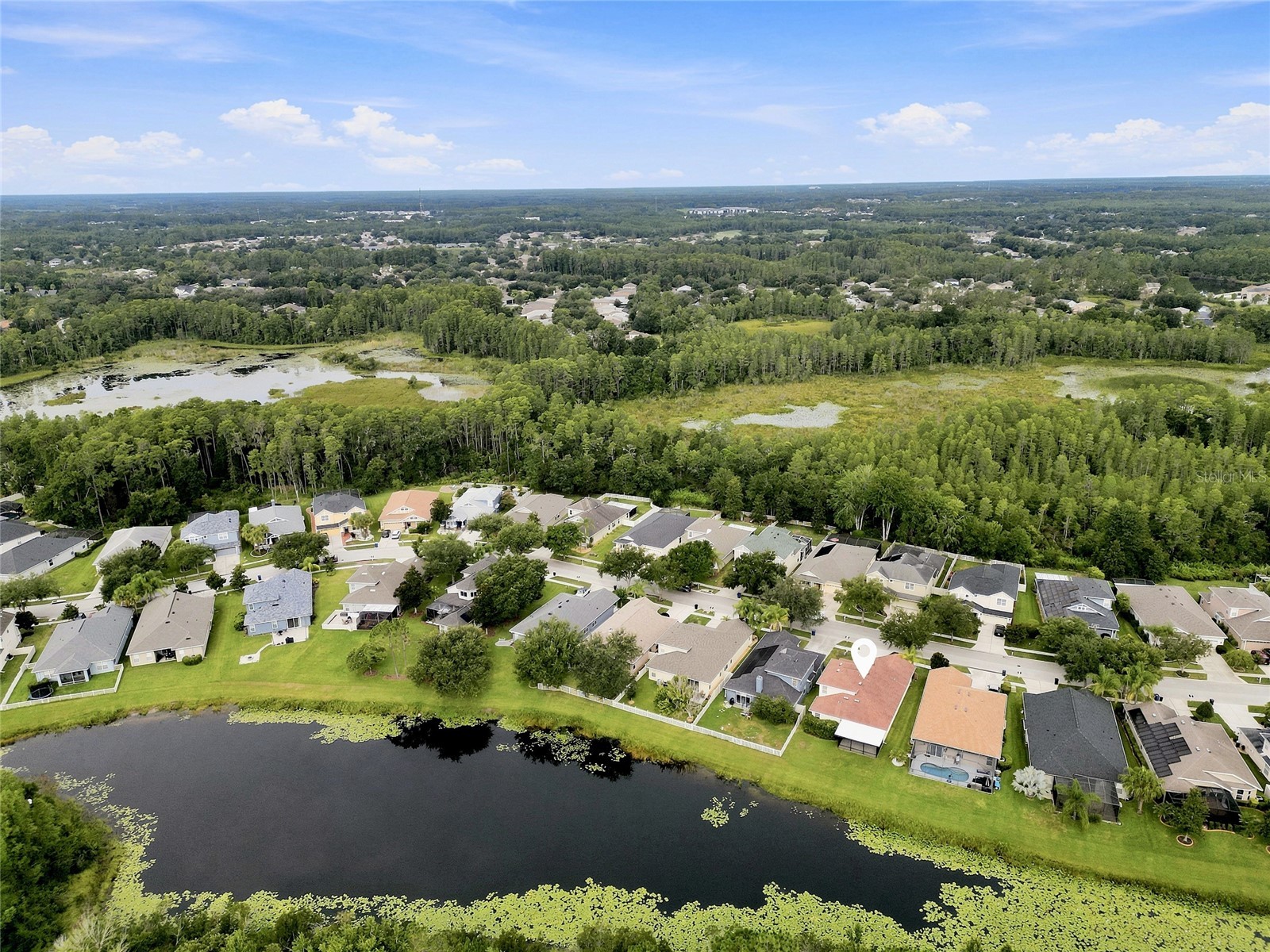 7806 Grasmere Drive Land O Lakes FL 34637 TB8527866 image39