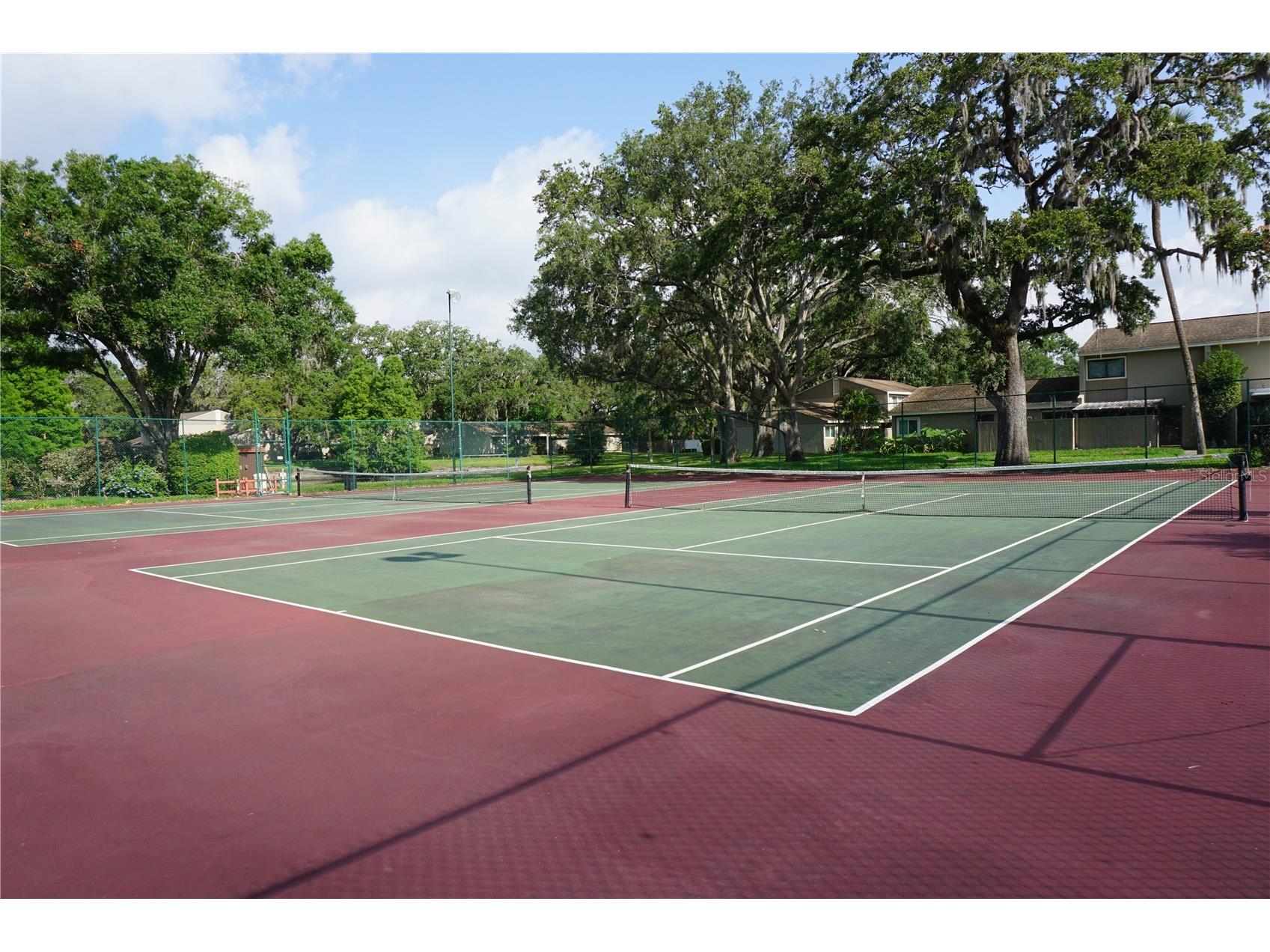 7807 Amberlea Court #7807 Tampa FL 33637 TB8530862 image19
