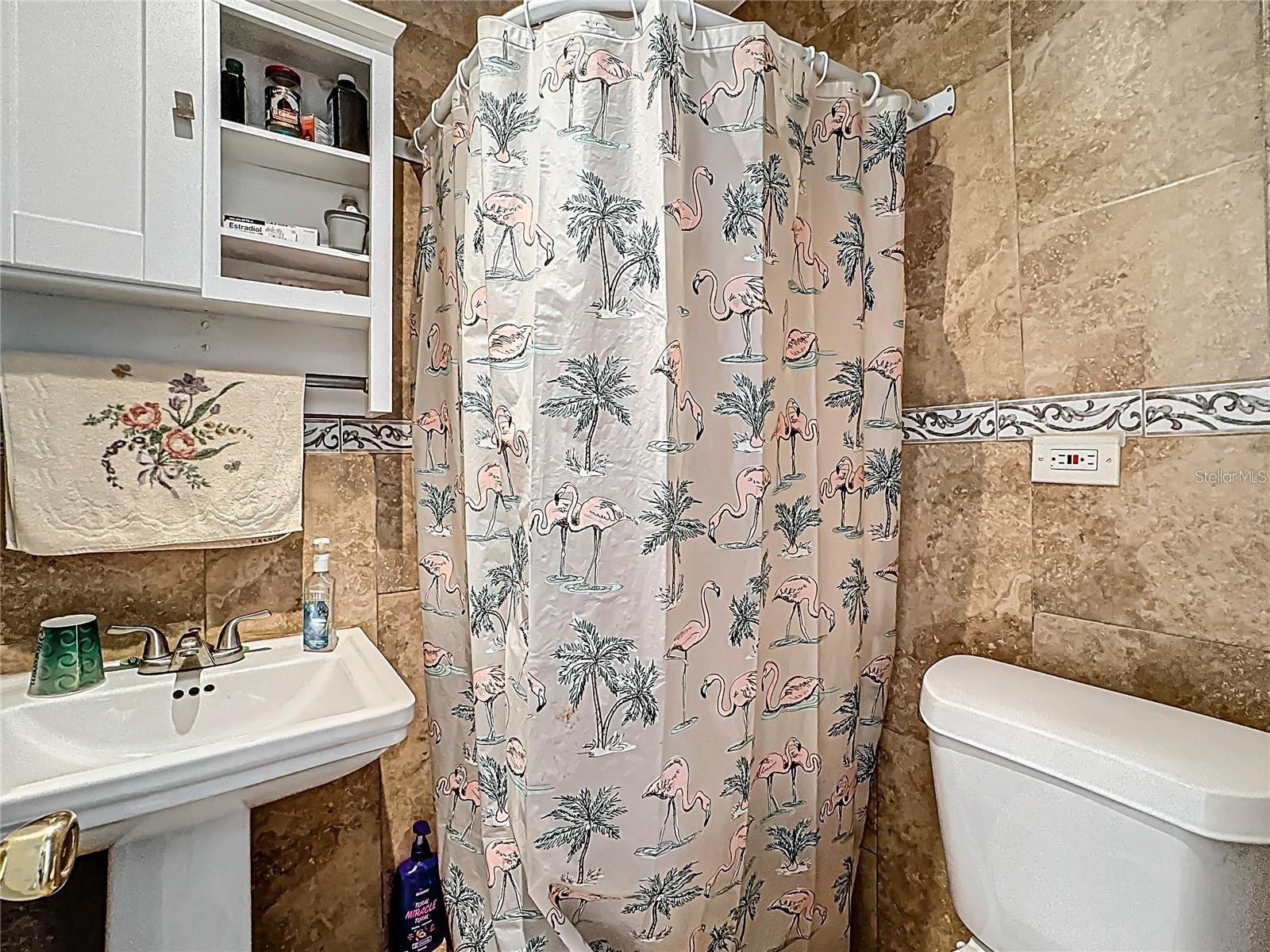 7807 Pine Hawk Lane Orlando FL 32822 S5144889 image18