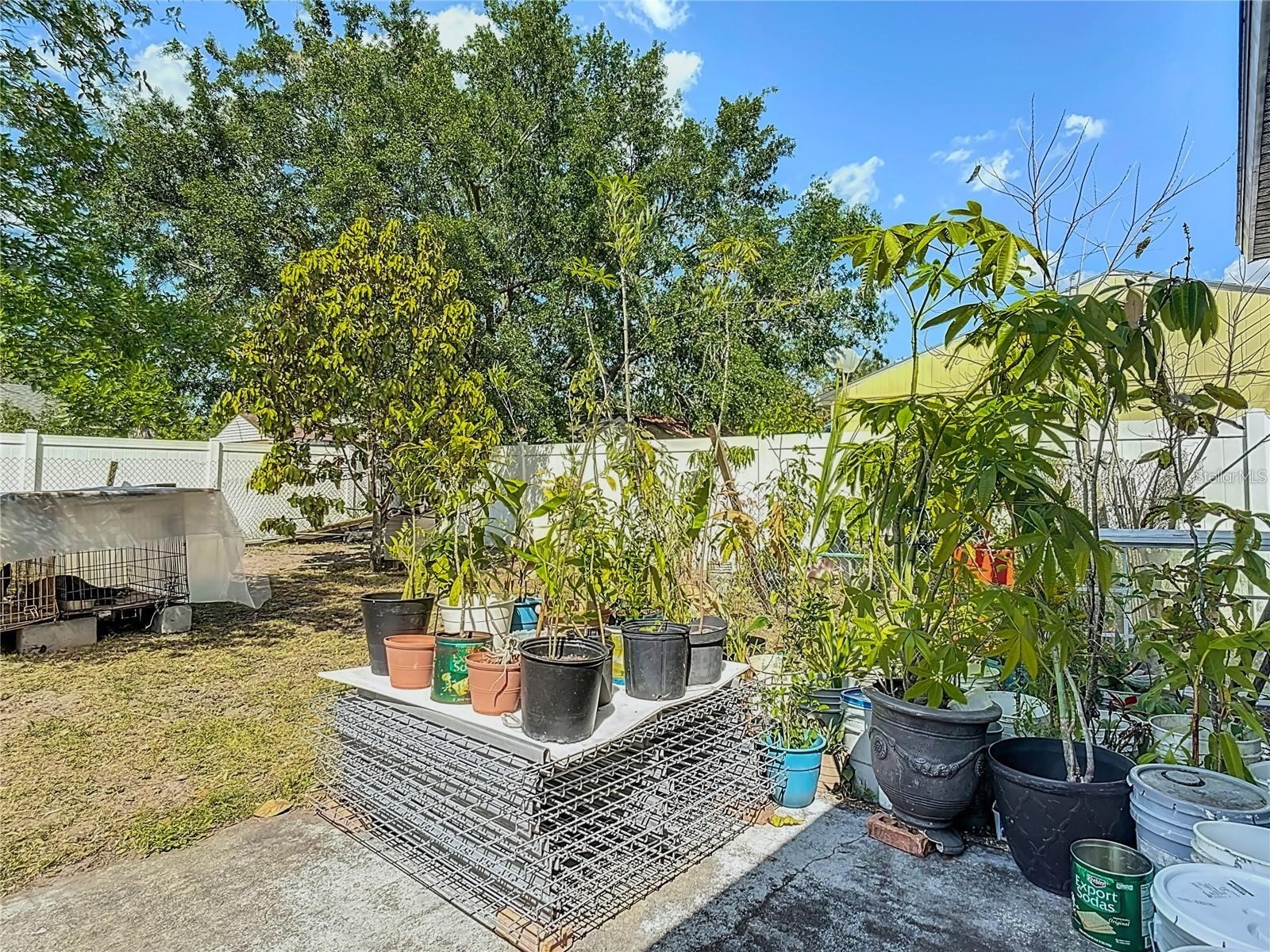 7807 Pine Hawk Lane Orlando FL 32822 S5144889 image22