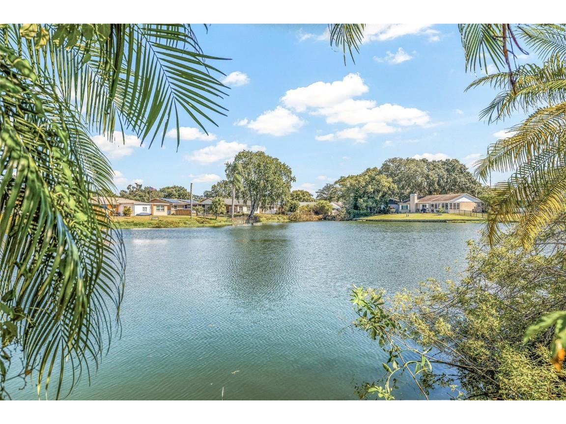 7807 Summertree Lane New Port Richey FL 34653 - LAKE SNEAD TB8438980 image2