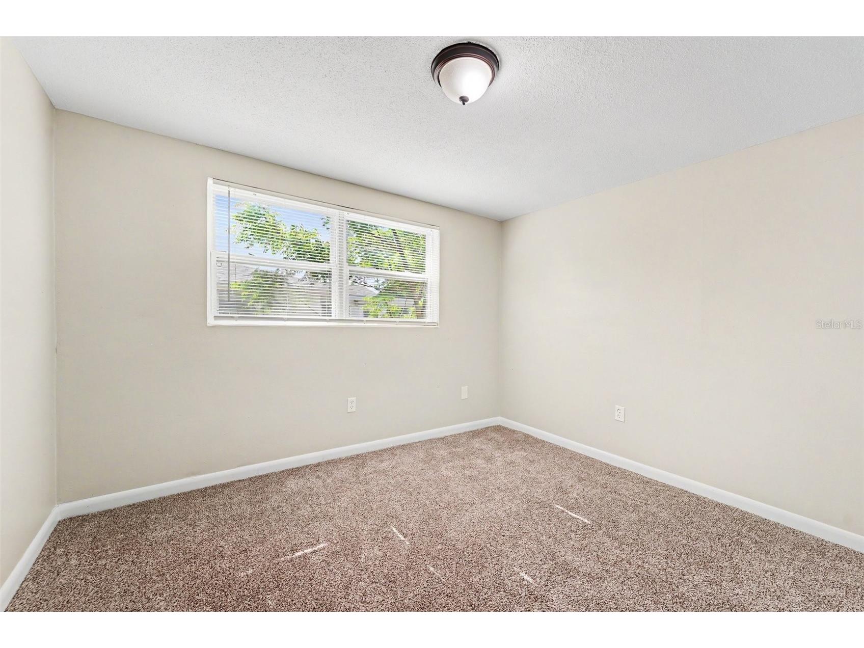 7808 Bracken Drive Port Richey FL 34668 O6409746 image14