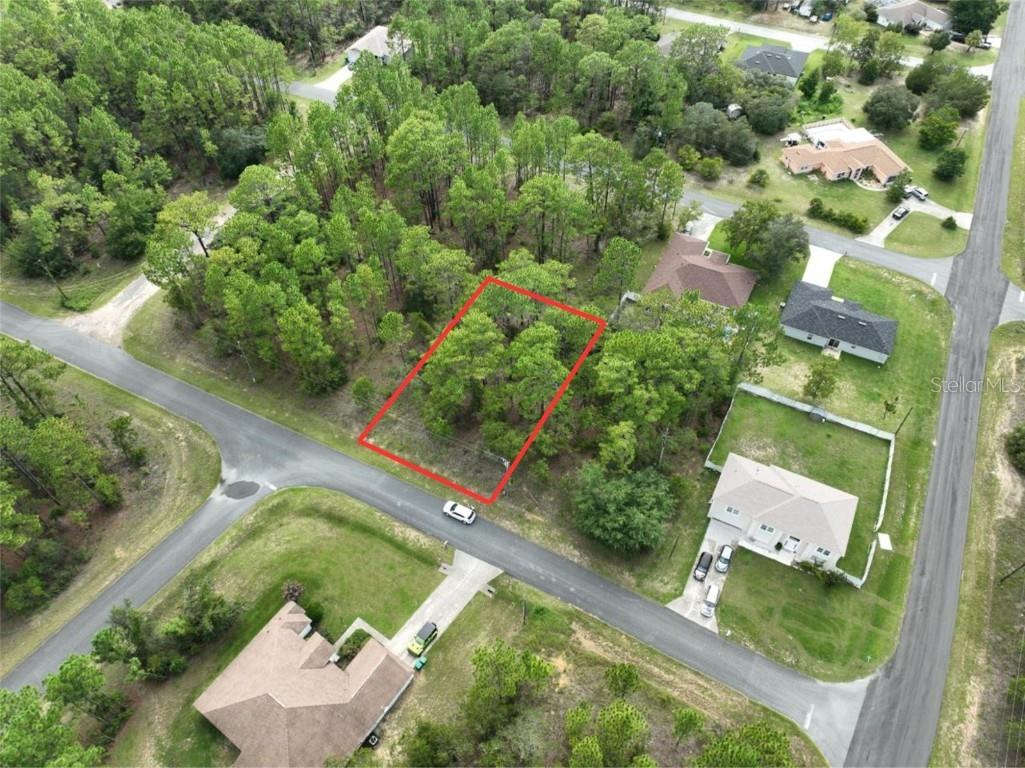 7808 N Udal Drive Citrus Springs FL 34434 O6334959 image1