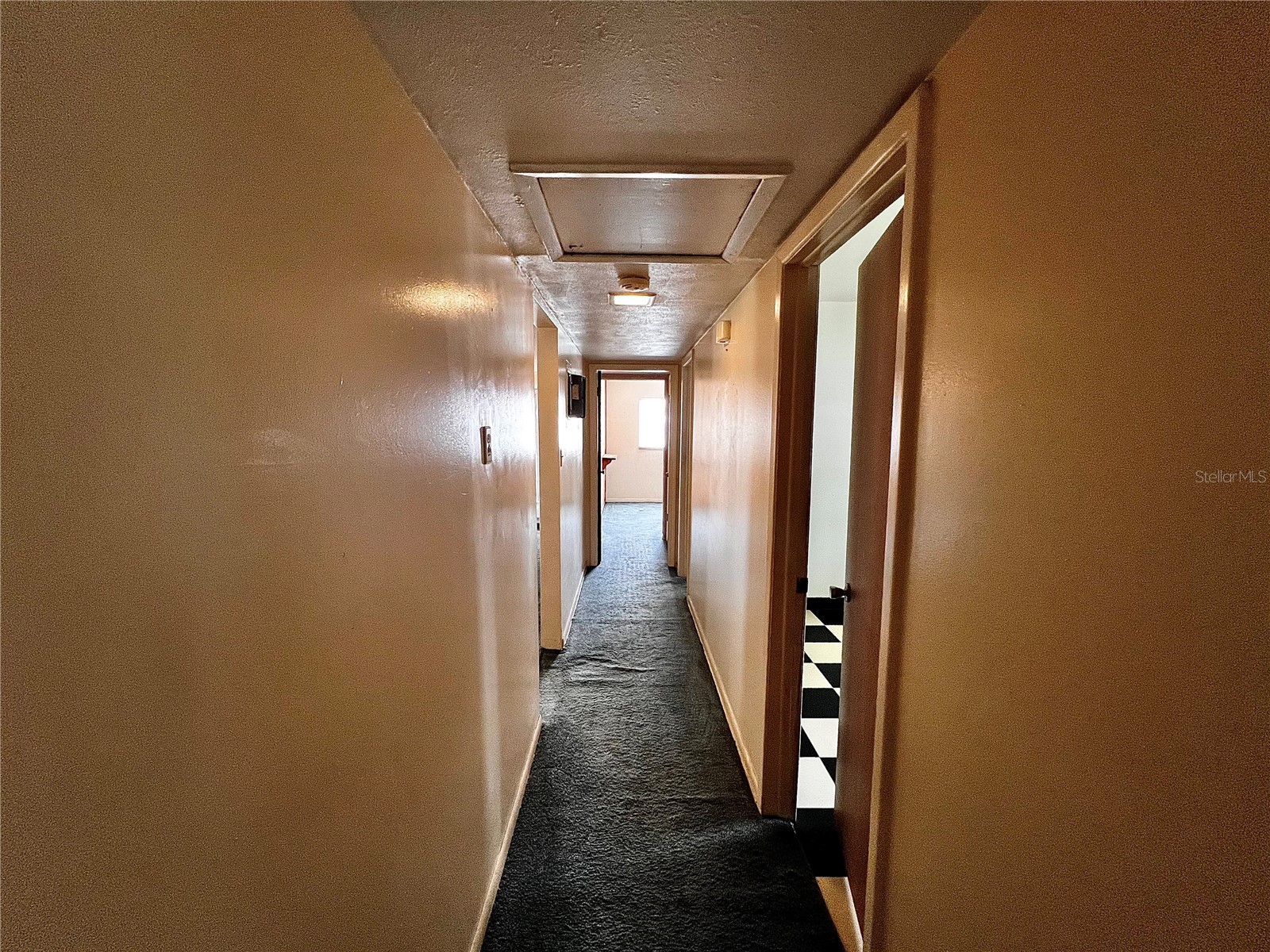7808 N Woodlynne Avenue Tampa FL 33614 A4687524 image13