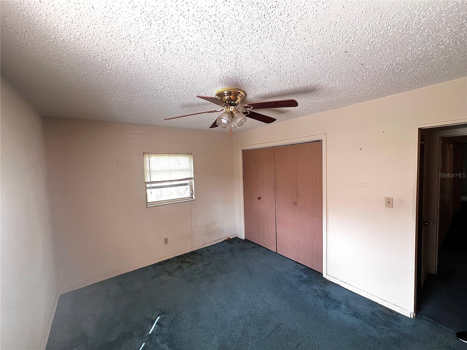 7808 N Woodlynne Avenue Tampa FL 33614 A4687524 image19