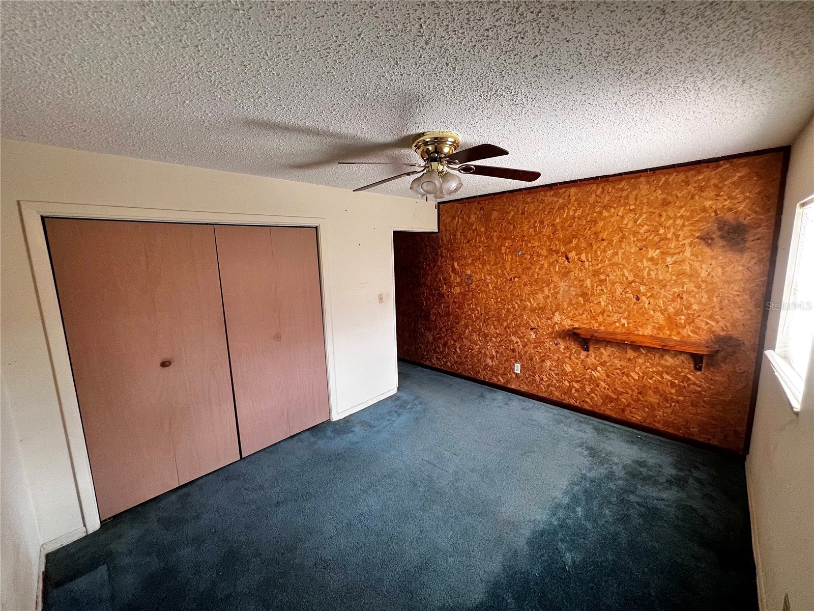 7808 N Woodlynne Avenue Tampa FL 33614 A4687524 image20