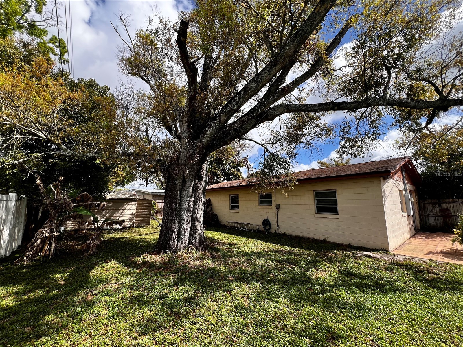 7808 N Woodlynne Avenue Tampa FL 33614 A4687524 image28