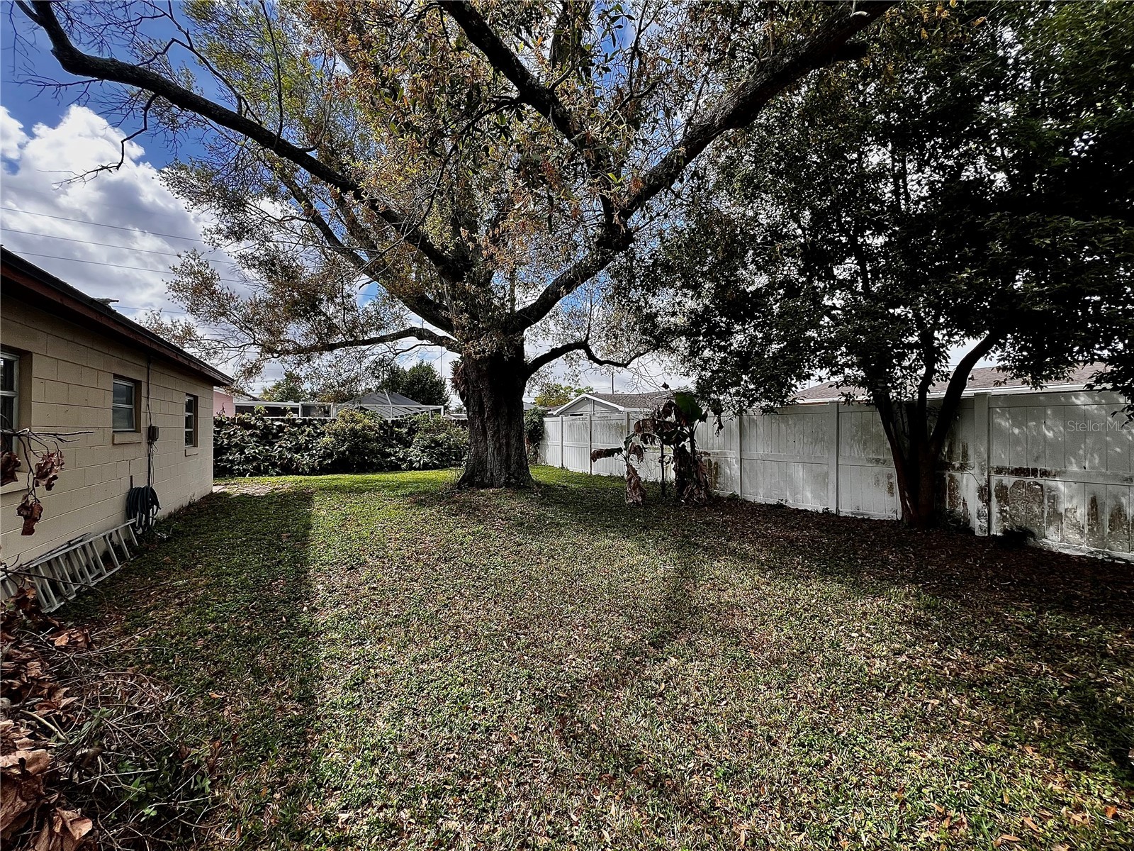 7808 N Woodlynne Avenue Tampa FL 33614 A4687524 image31