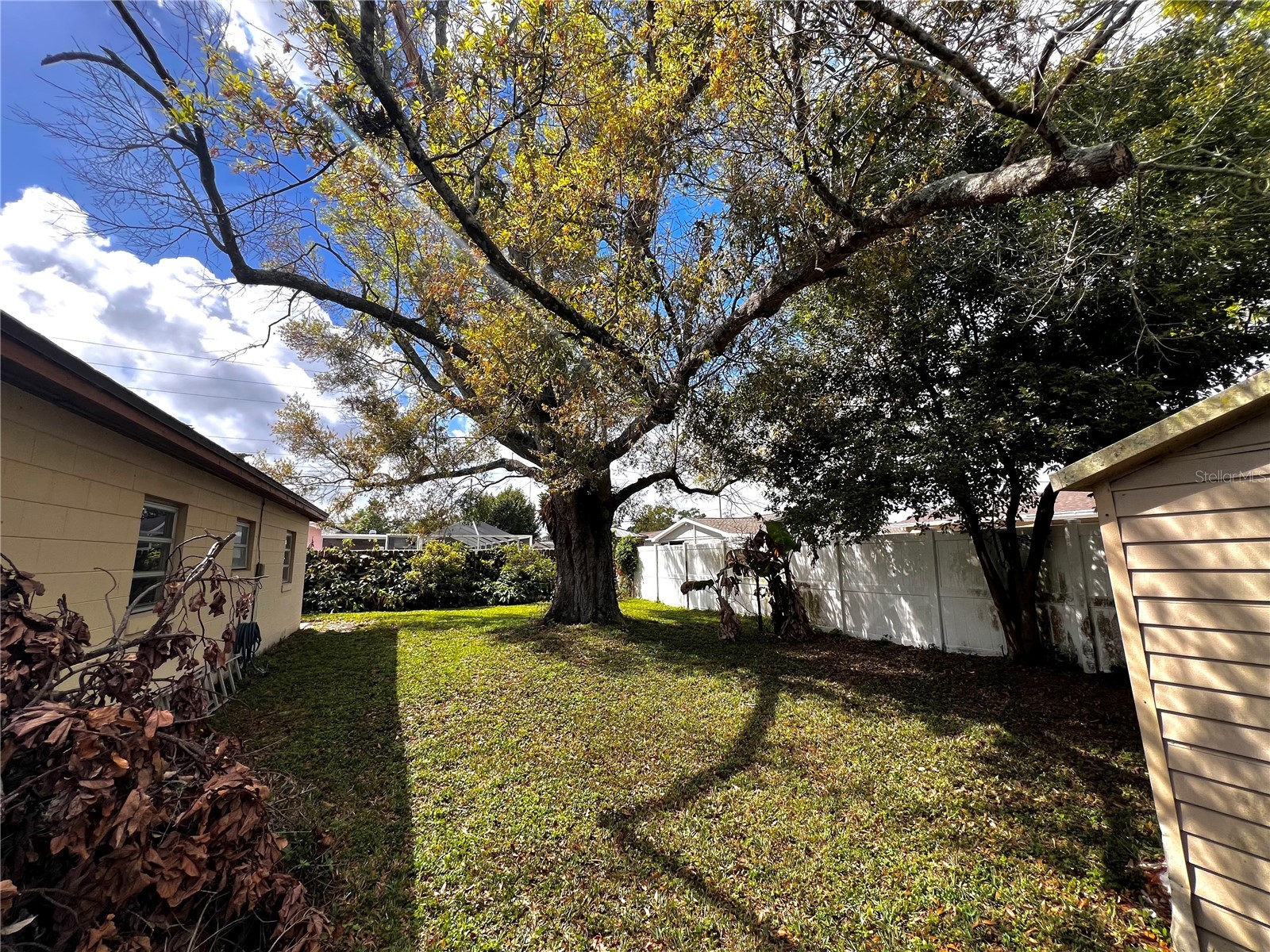 7808 N Woodlynne Avenue Tampa FL 33614 A4687524 image35