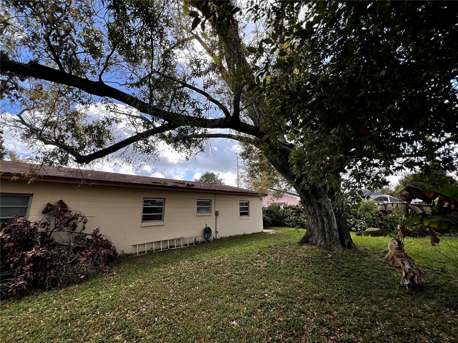 7808 N Woodlynne Avenue Tampa FL 33614 A4687524 image36