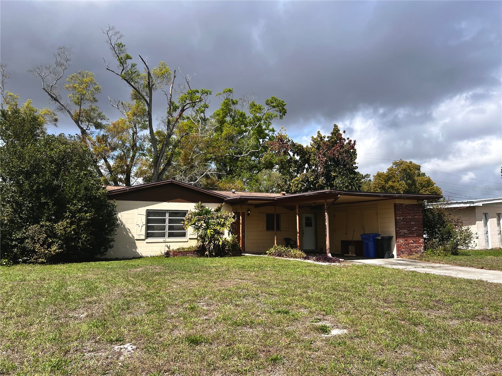 7808 N Woodlynne Avenue Tampa FL 33614 A4687524 image43