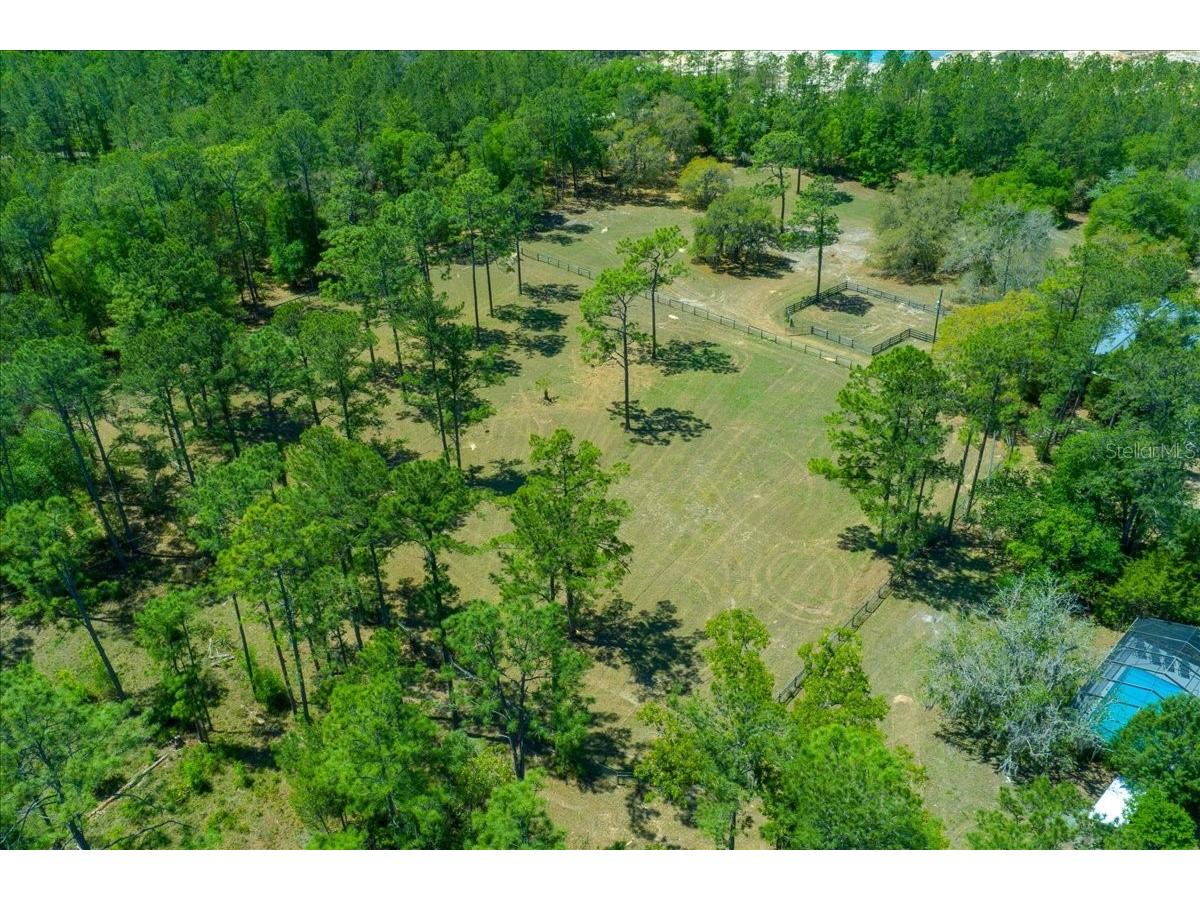 7808 NE 75th Street Gainesville FL 32609 OM722963 image66