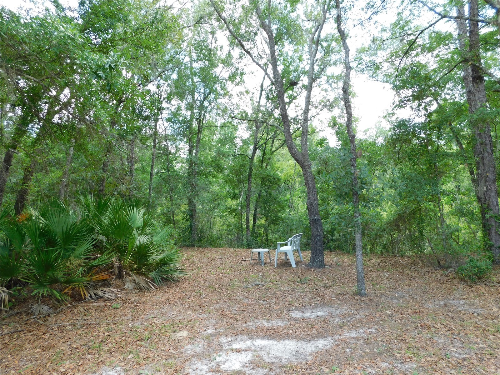 7808 W Drover Street Homosassa FL 34446 OM724875 image21