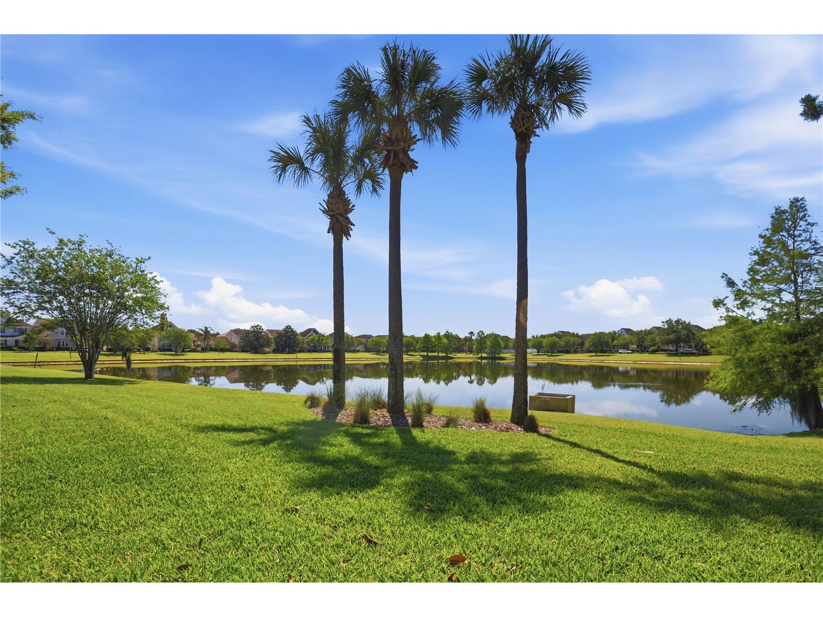 7808 Winter Wren Street Winter Garden FL 34787 O6400269 image41