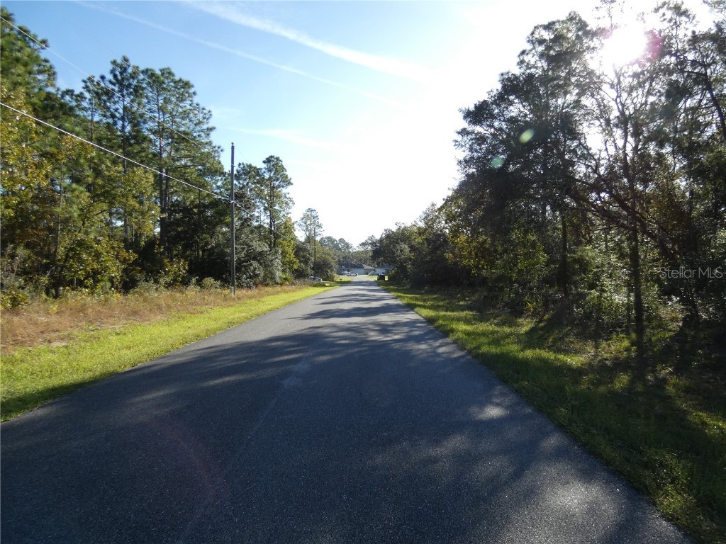 7809 N Jamaica Drive Citrus Springs FL 34433 OM712252 image2