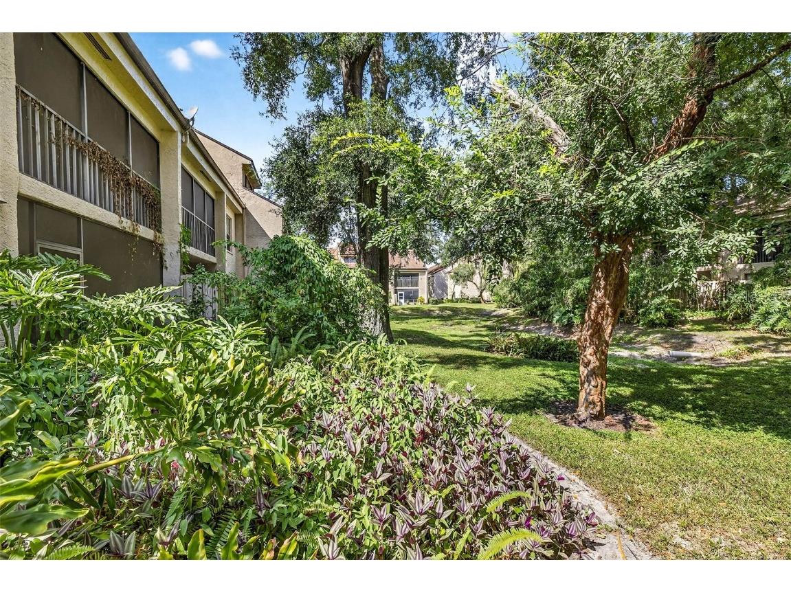 7809 Niagara Avenue #2105 Tampa FL 33617 TB8429318 image28