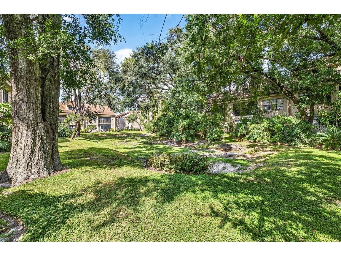 7809 Niagara Avenue #2105 Tampa FL 33617 TB8429318 image30