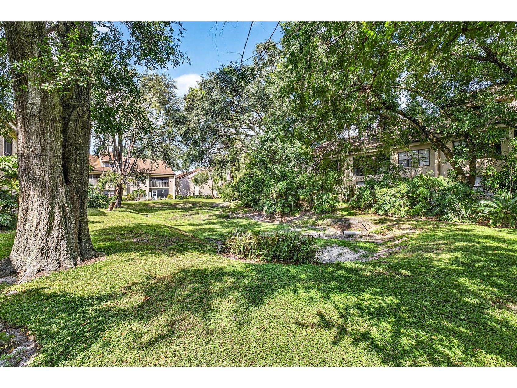 7809 Niagara Avenue #2105 Tampa FL 33617 TB8505541 image32